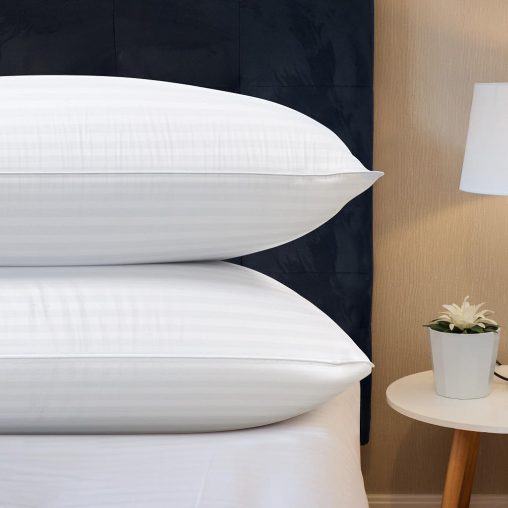 Queen Size Microfiber Bed Pillows Set of 2 O711