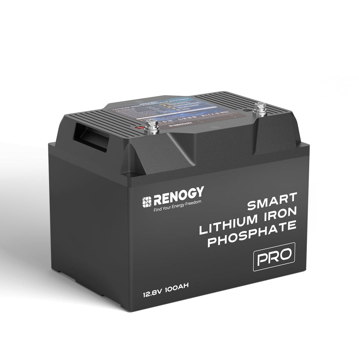 12V 100Ah Bluetooth Self-Heating Lithium LiFePO4 Deep Cycle Battery D155022