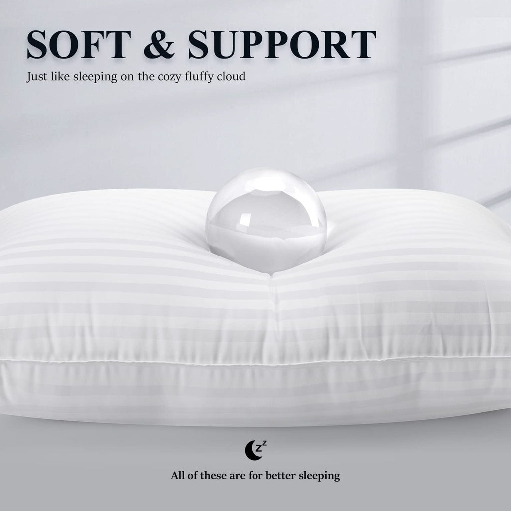 Queen Size Microfiber Bed Pillows Set of 2 O711