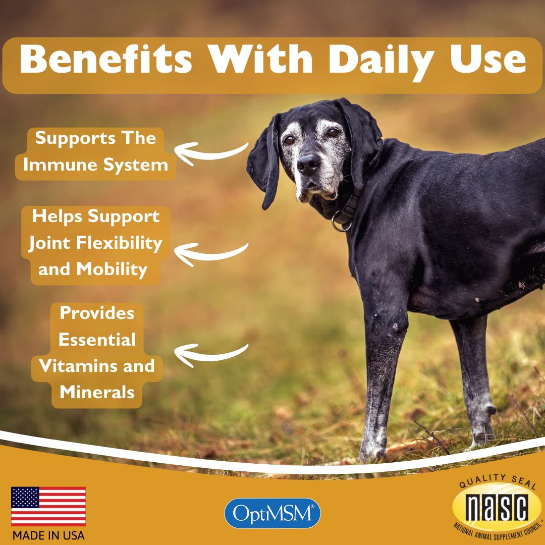 Senior Multivitamin for Dogs, 150 Count M501