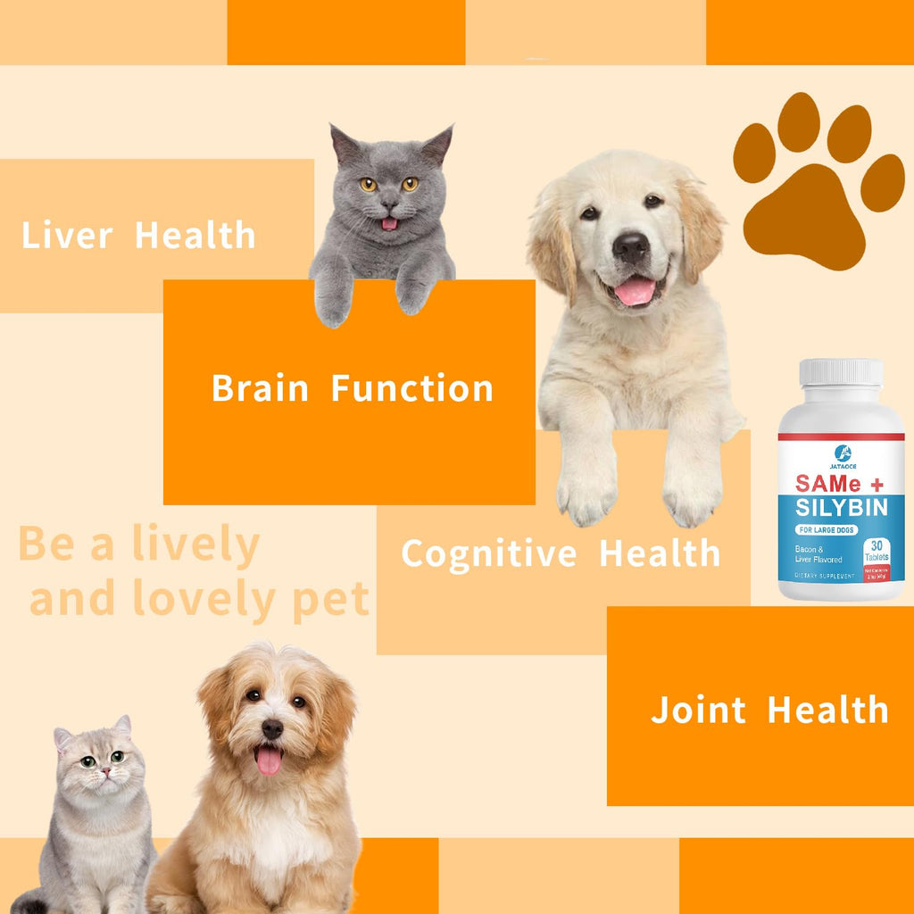Liver Supplements for Dogs E887825
