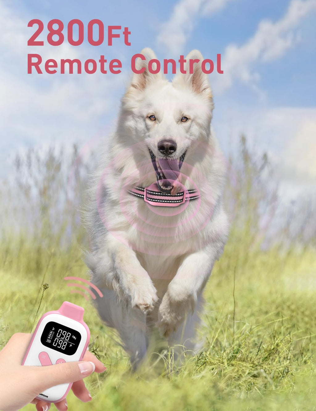 Beep and Vibrating Dog Collar with Remote A67431