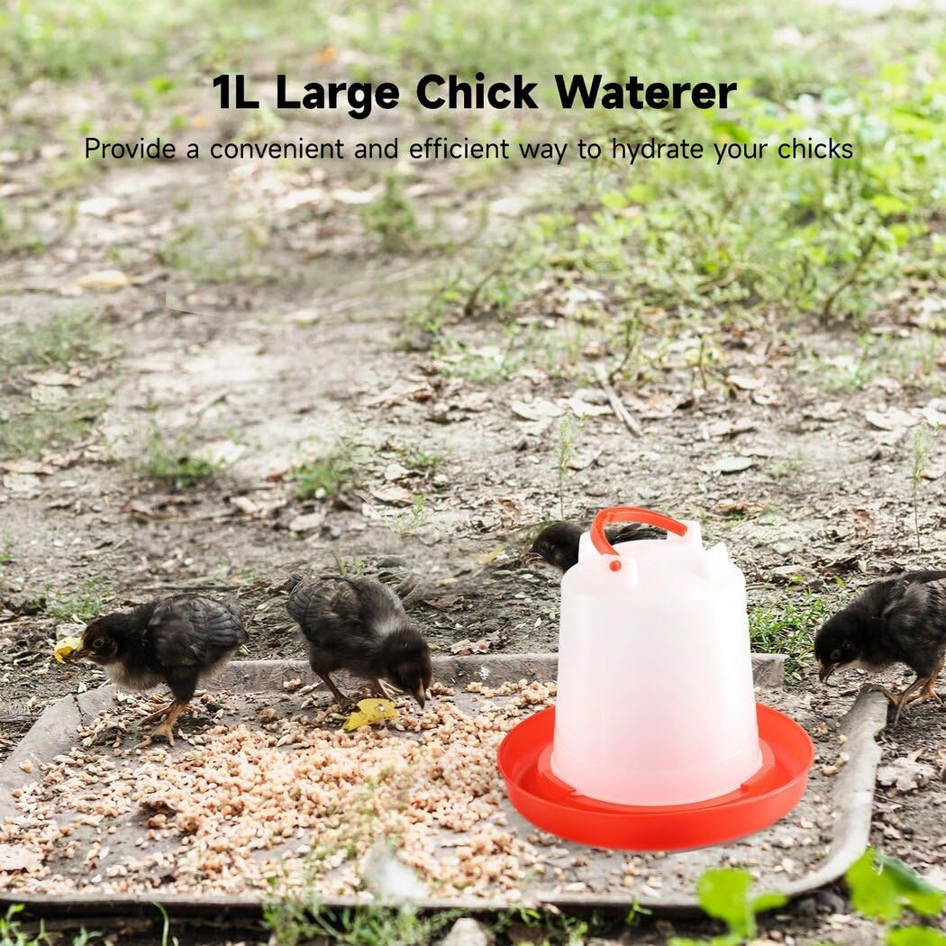 4-Pack 1L Poultry Waterer with Handle X388455