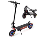 500W Electric Scooter with 10" Tires T395
