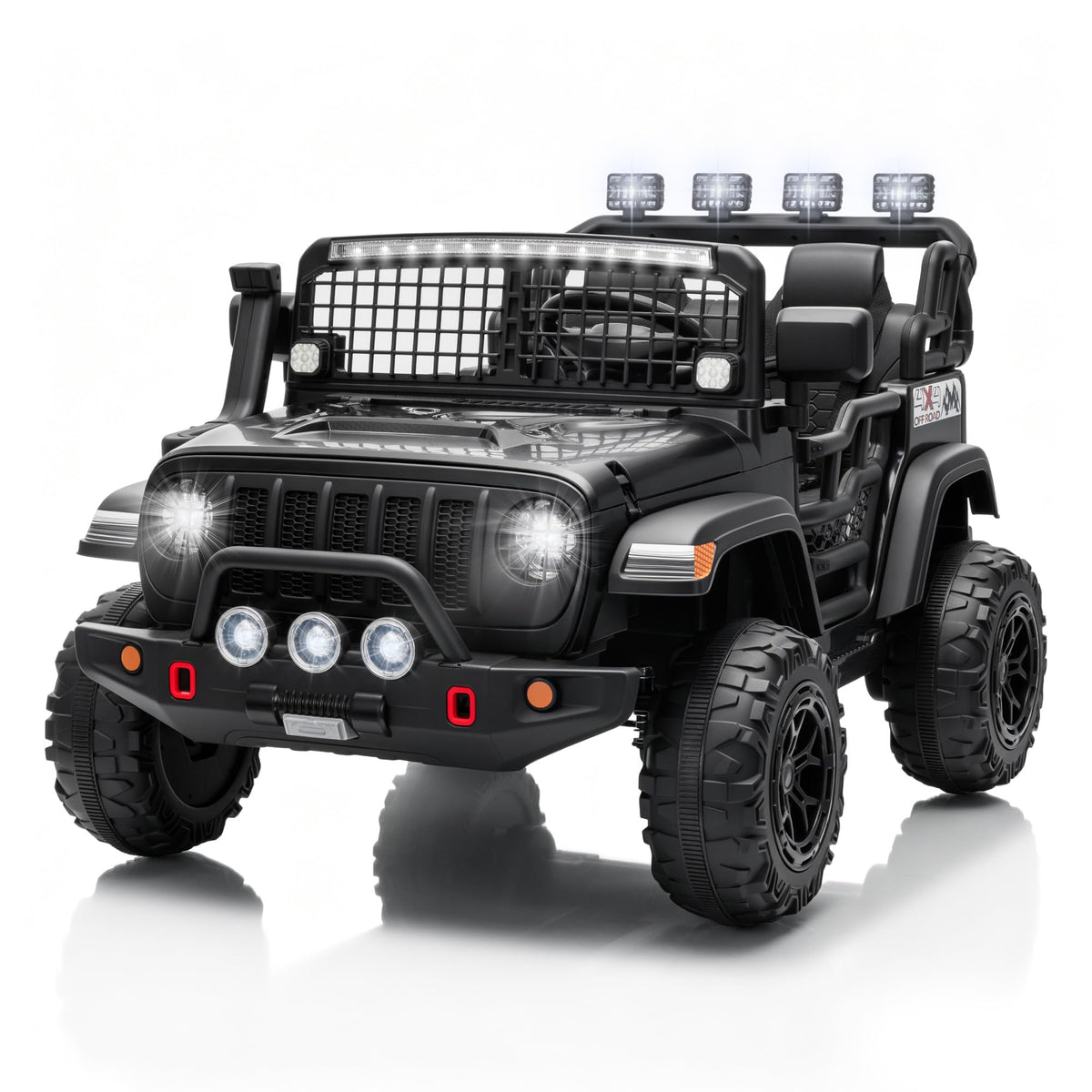 Black 2 Seater 24V Ride On Car T667