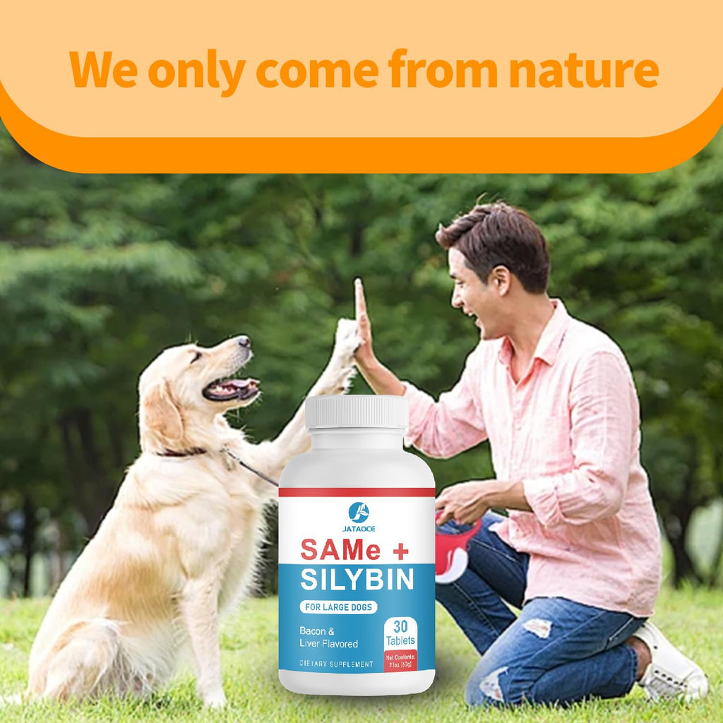 Liver Supplements for Dogs E887825