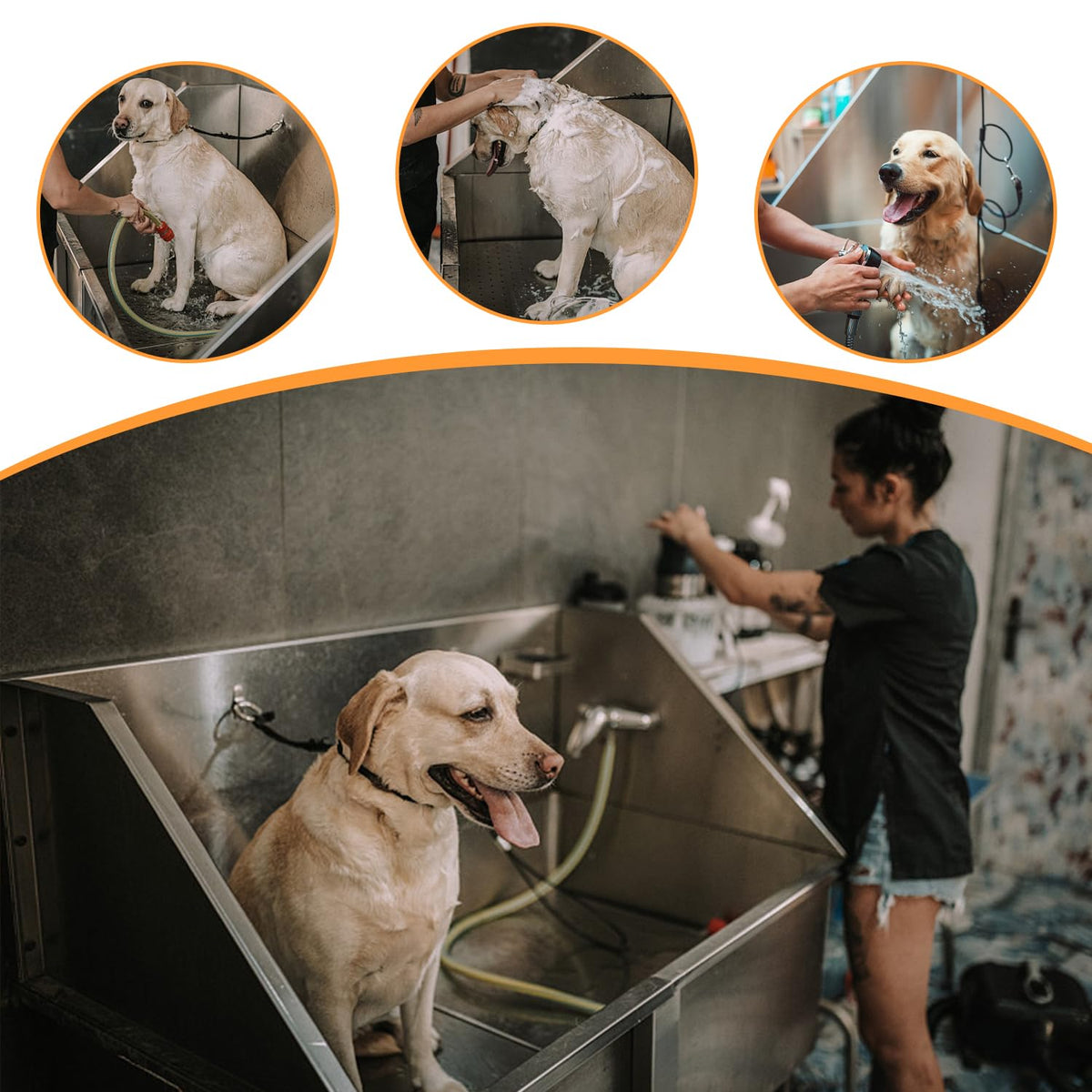 Stainless Steel Dog Washing Station with Stairs V771