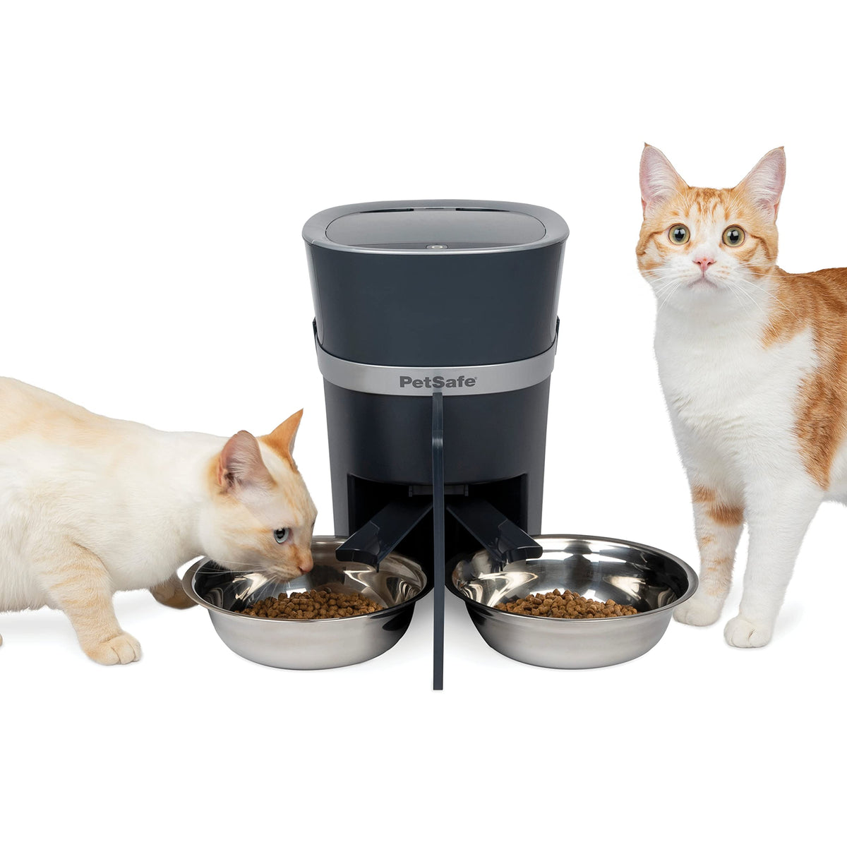 Automatic Pet Feeder with 2-Pet Meal Splitter Y323273