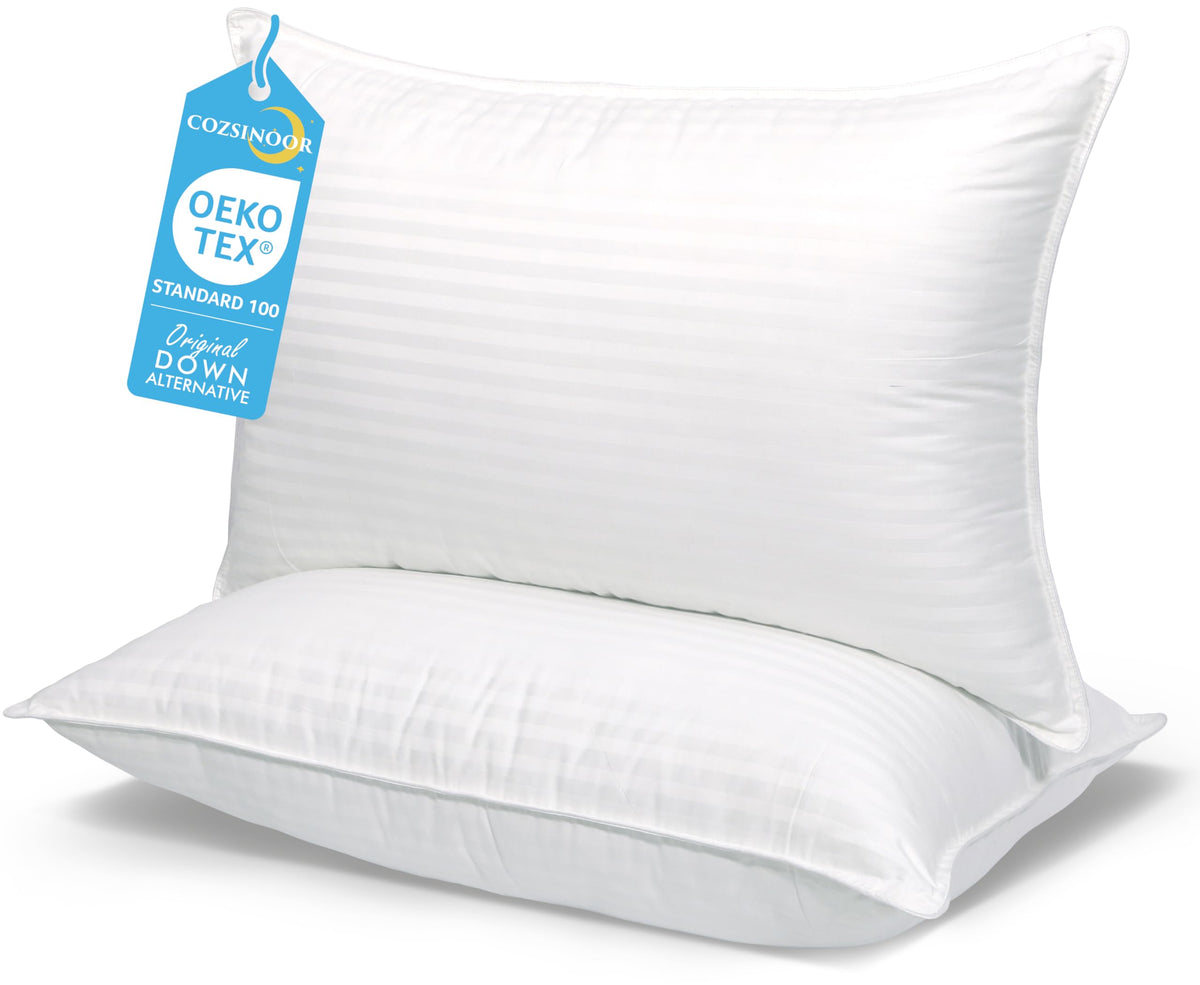 Queen Size Microfiber Bed Pillows Set of 2 O711