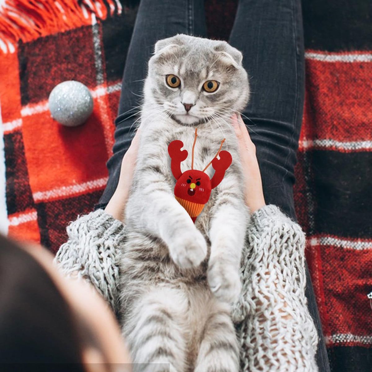 2 Pcs Catnip Plush Cat Toys with Bells V271210