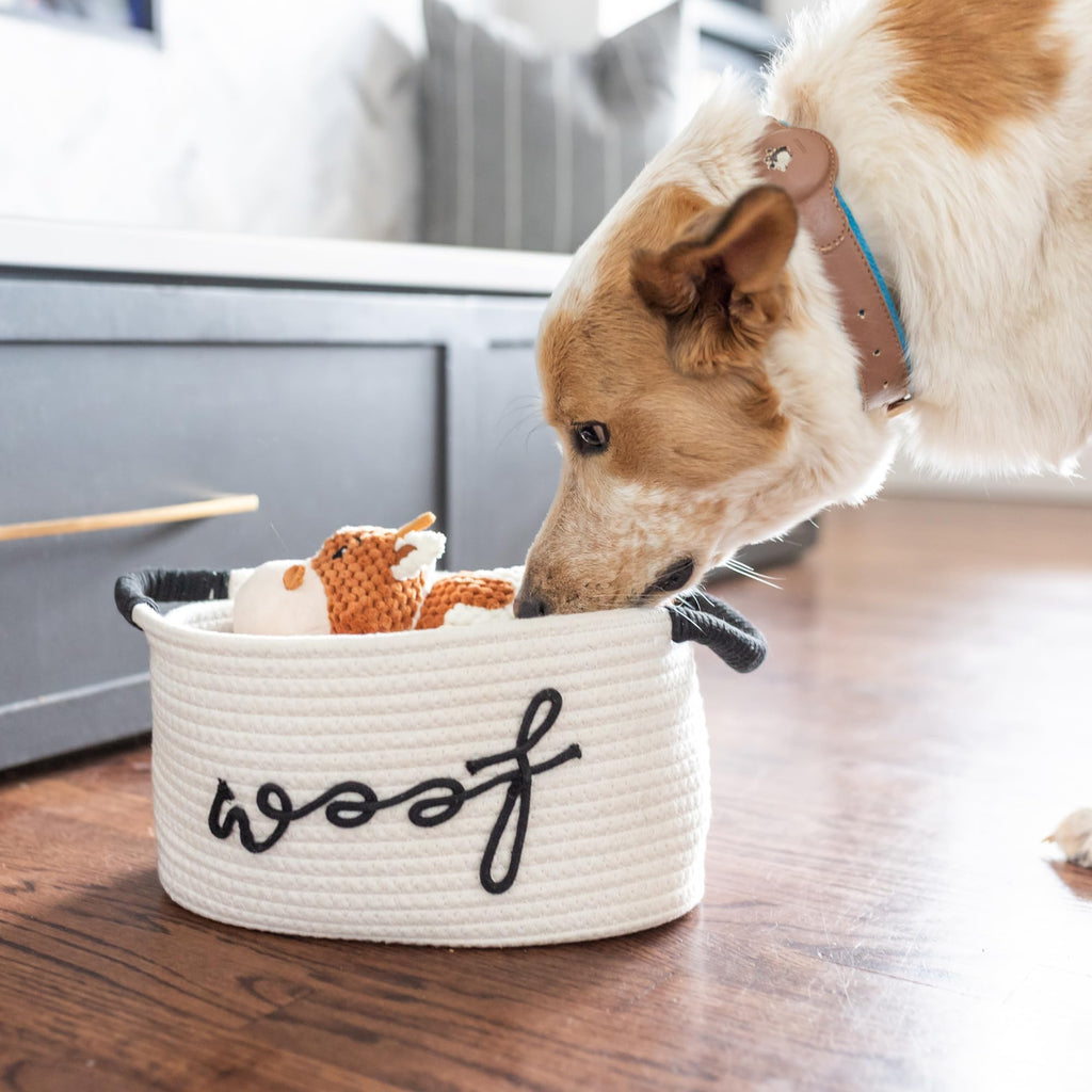 Puppy Gift Basket Z4957