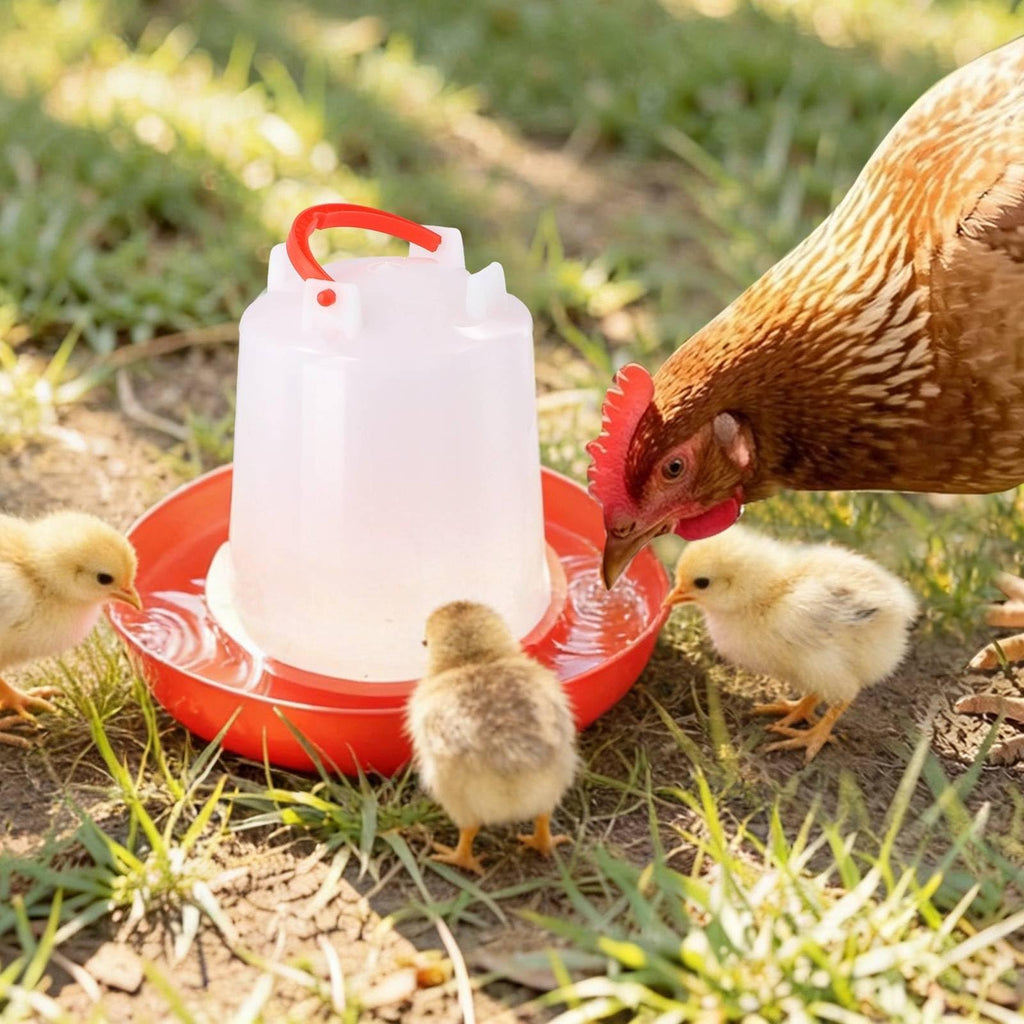 4-Pack 1L Poultry Waterer with Handle X388455