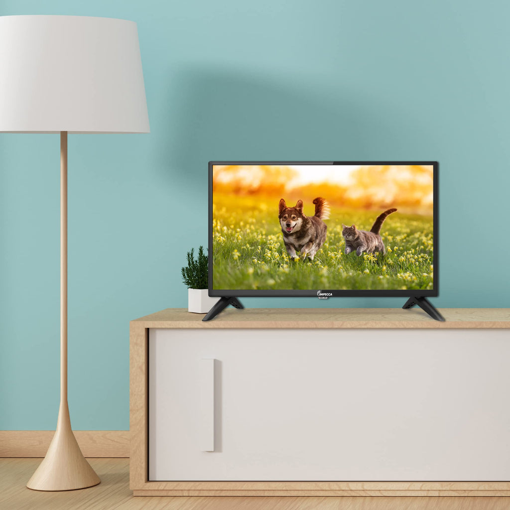24 inch HD 720p LED TV S744