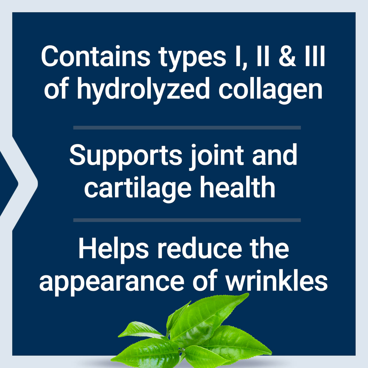 Collagen Peptides 343 Grams H100