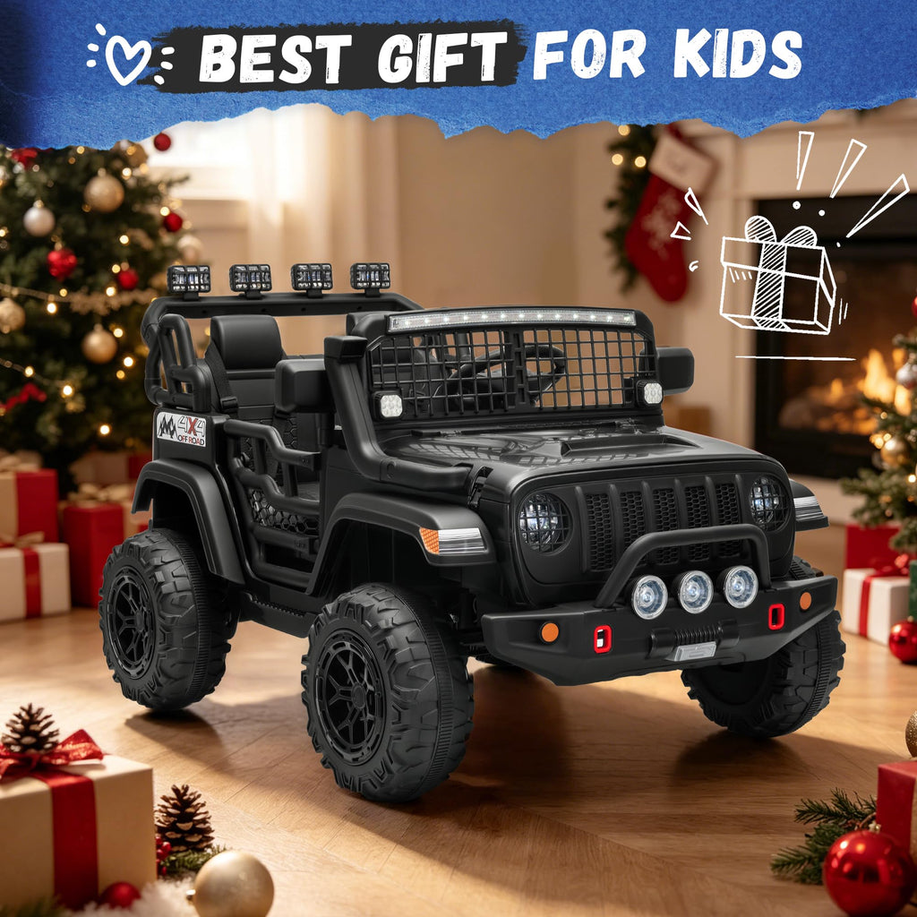 Black 2 Seater 24V Ride On Car T667