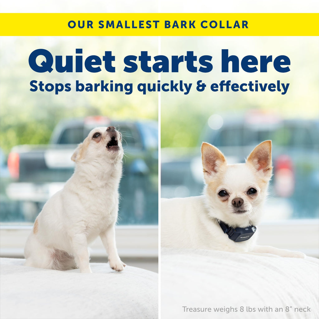 Bark Collar for Small Dogs H6526