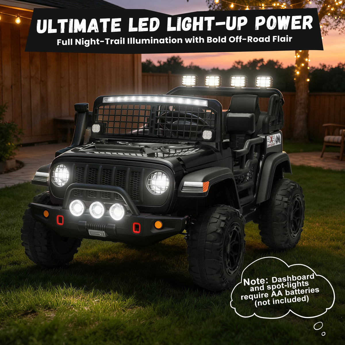 Black 2 Seater 24V Ride On Car T667
