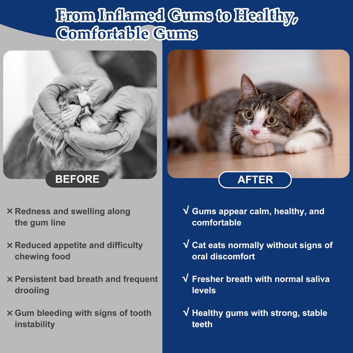 Natural Plant-Based Cat Oral Care D159178