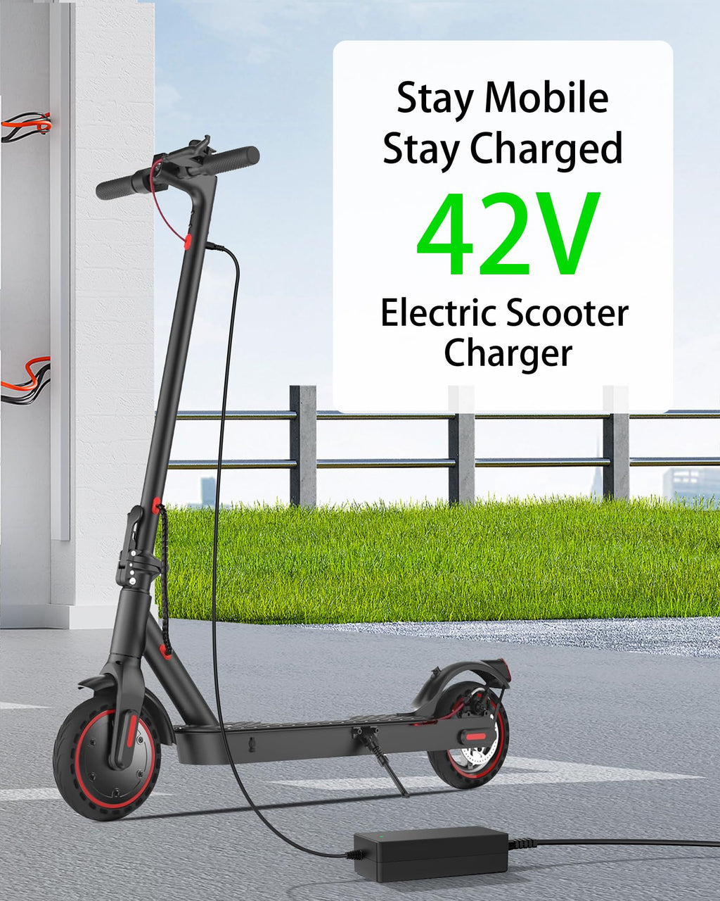 42V Charger for Electric Scooter O87936