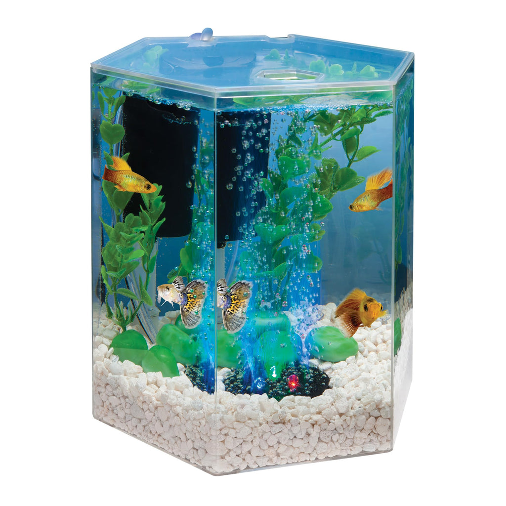 1 Gallon Small Fish Tank Kit V874749