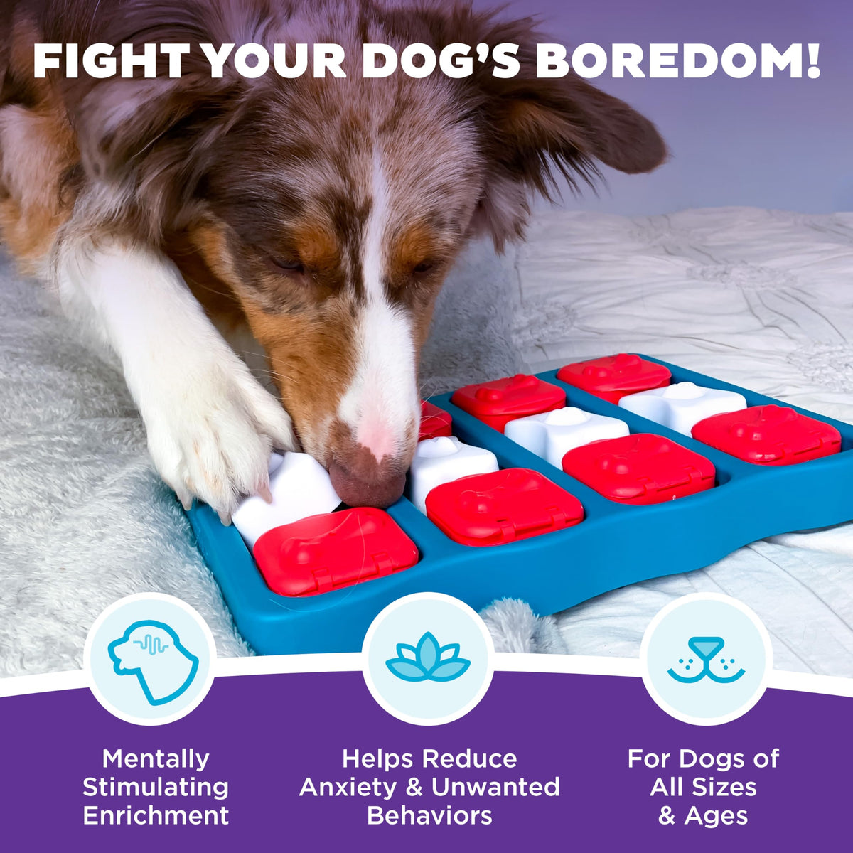 Dog Brick Dog Toy Treat Puzzle Q7537