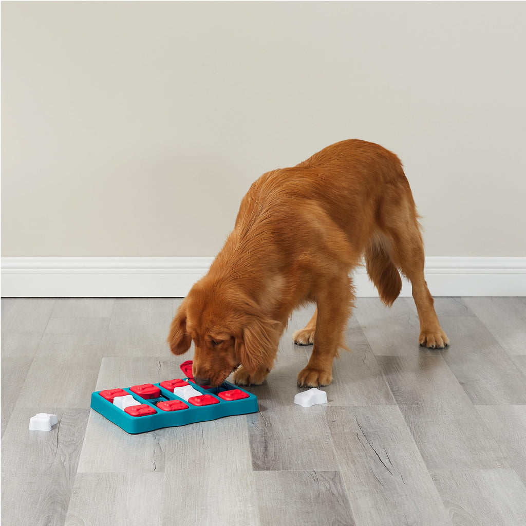 Dog Brick Dog Toy Treat Puzzle Q7537