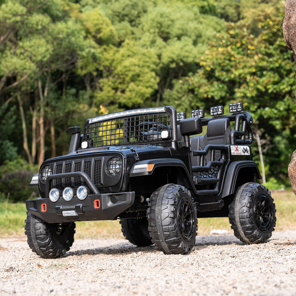 Black 2 Seater 24V Ride On Car T667