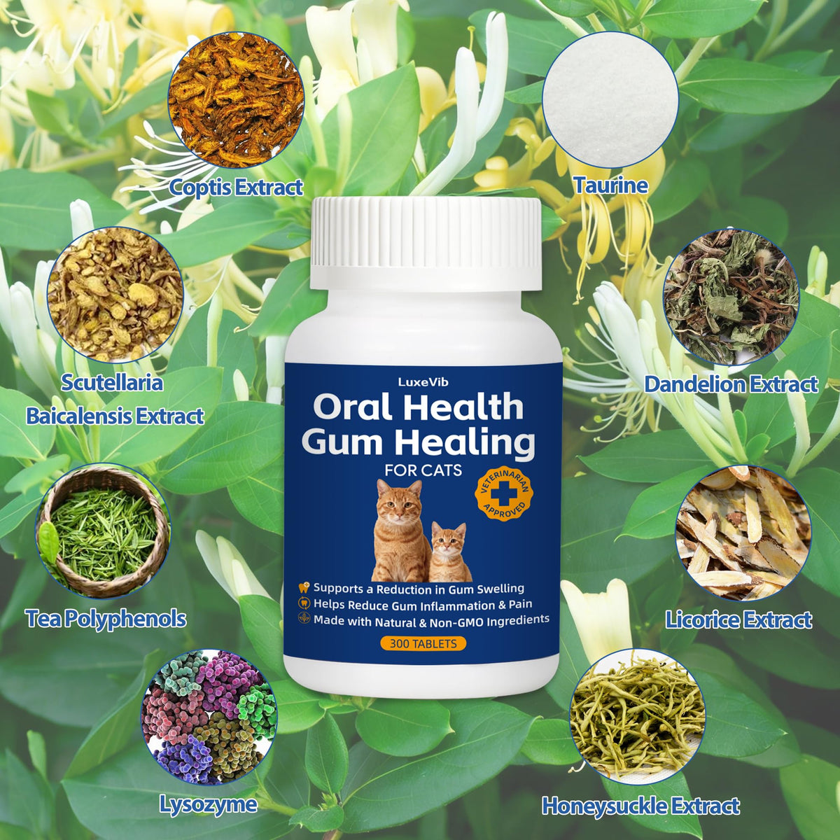 Natural Plant-Based Cat Oral Care D159178