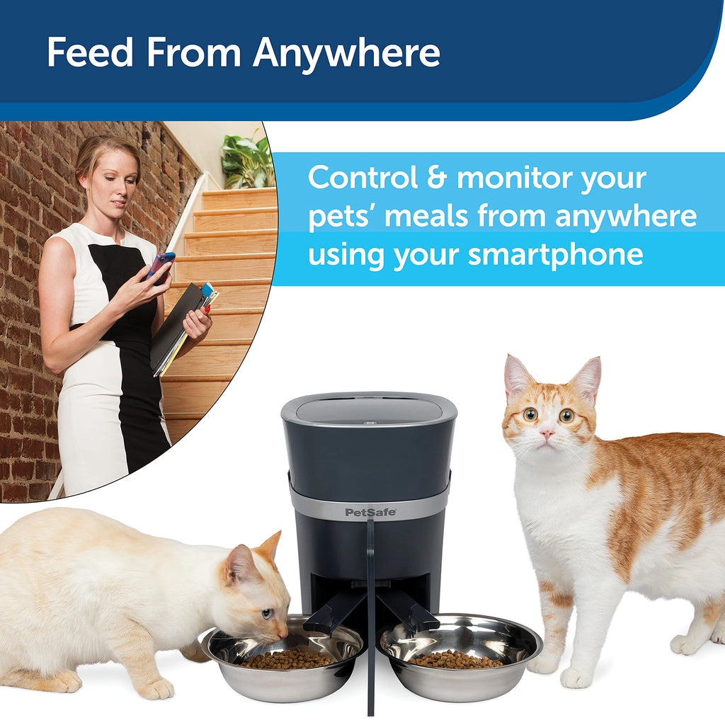 Automatic Pet Feeder with 2-Pet Meal Splitter Y323273