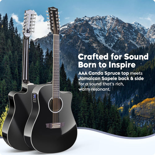 12 String Acoustic Electric Guitar F9949
