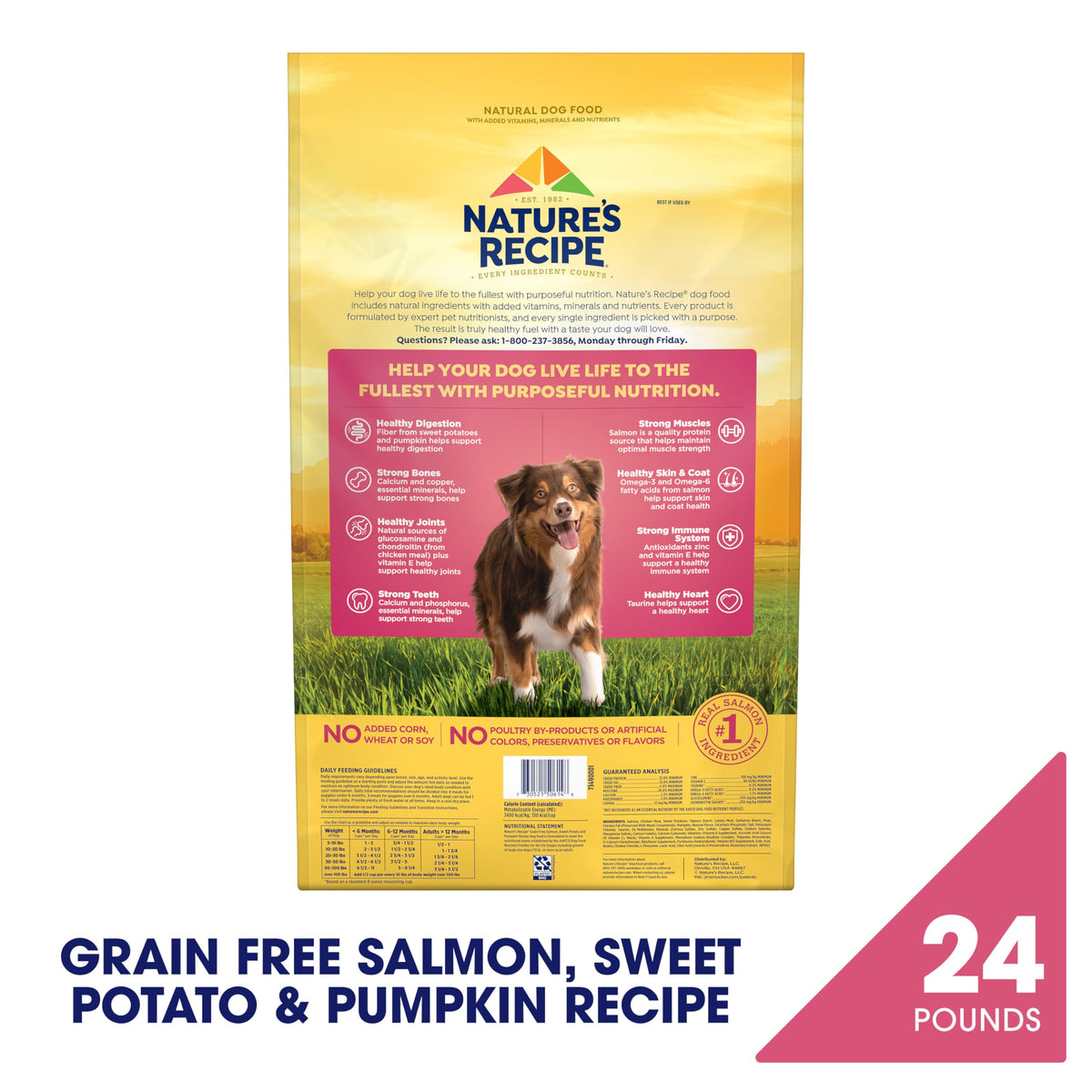Grain Free Salmon Dry Dog Food 24 lb. Bag X9228