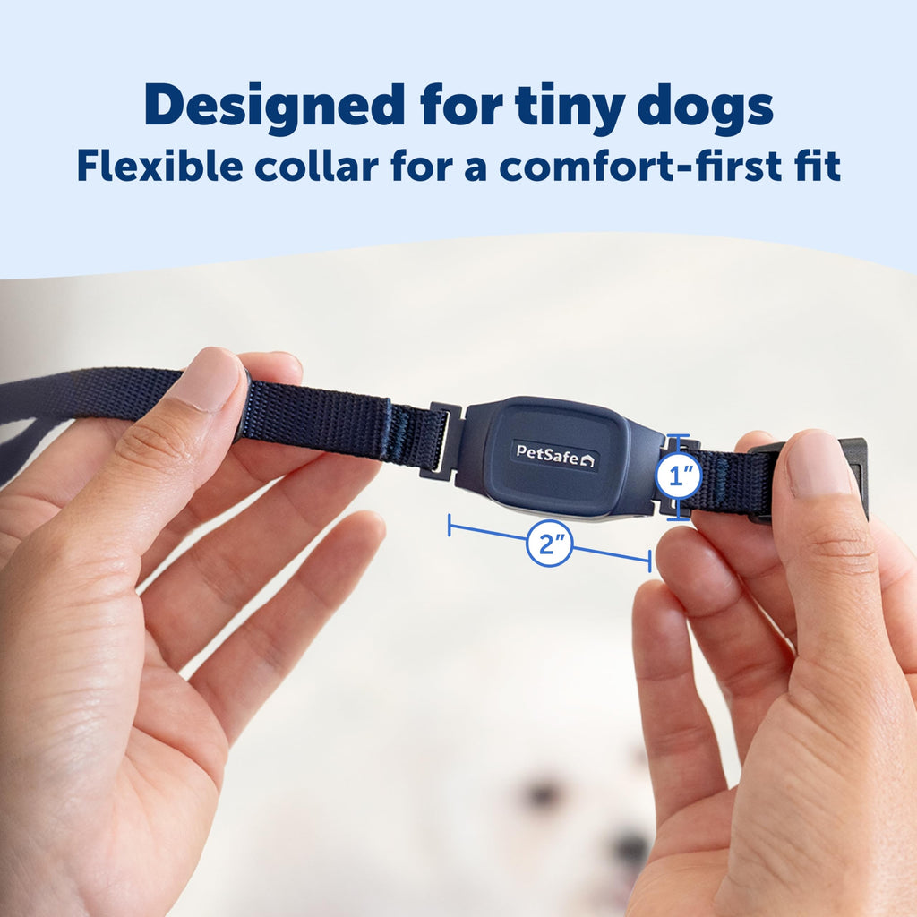 Bark Collar for Small Dogs H6526