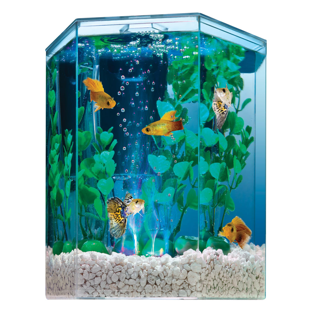 1 Gallon Small Fish Tank Kit V874749